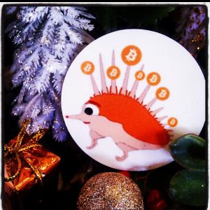 hedgehog bitcoin magnet pindsvin helen kholin helenkholin new year