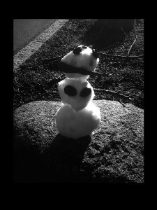 1 life of a snowman 1 fotohistorie by helen kholin