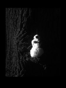 5 life of a snowman fotohistorie by helen kholin